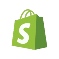 Shopify Store Development services in Delhi